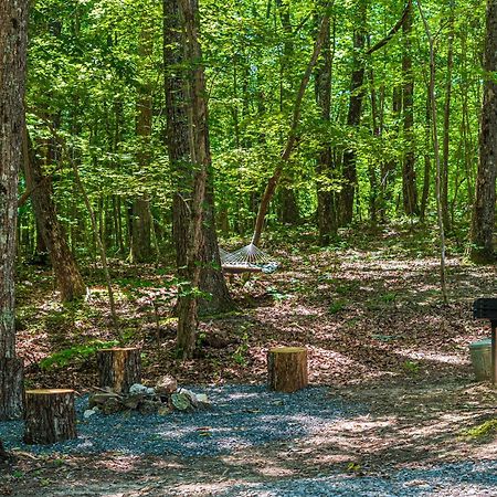 Coyote Cabin At Woodland Retreat At Desoto Beside Desoto State Park Форт Пейн Екстериор снимка